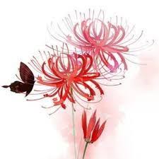 Nguyễn Hoàng Uyên